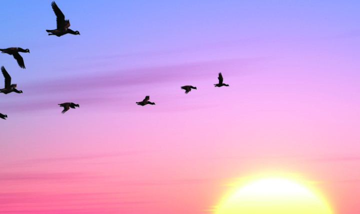 International Conference on Culture, Society and Literature: Migration and Changing Identities